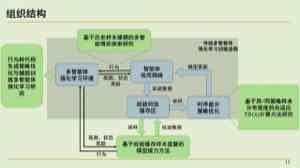图中展示多智能体训练循环。多个 agent 从共同环境得到观测与奖励，收集轨迹后更新各自或共享的策略和价值网络。